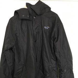 Hollister Winter Coat